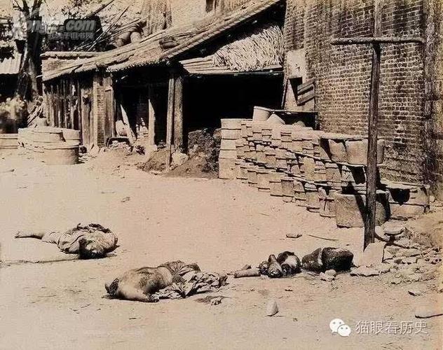 朱门酒肉臭,路有冻死骨,一般来说被凌迟处死的人连收尸都不会有人收