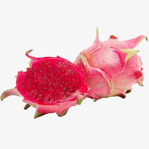 关键词 : 水果,红心,火龙果切面,新鲜火龙果