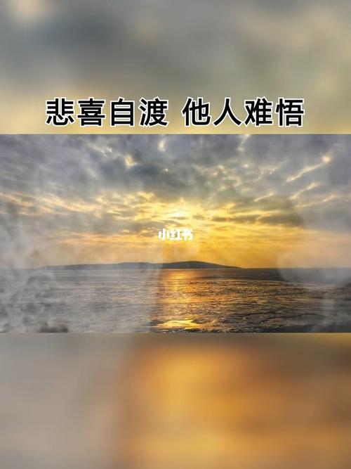 悲喜自渡他人难悟_人生_情感_励志鸡汤