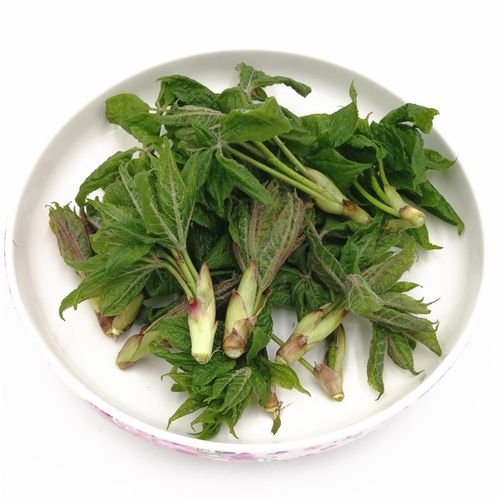 长白棒子斤包500g2新鲜山老虎坎拐长白山东北嫩芽其它
