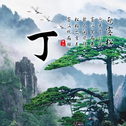 成功者喜欢的微信头像:迎客松·赢天下朋友,聚人间真情