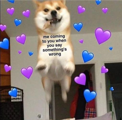 朋友圈配图丨不开心的时候这些神奇图片拯救你的down情绪