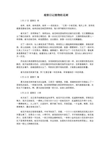 观察日记植物桂花树.docx 2页