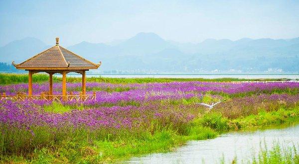 毕节威宁草海