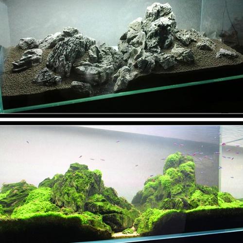 酸洗青龙石造景石三湖慈鲷造景水族鱼缸造景假山石盆景石5斤包邮