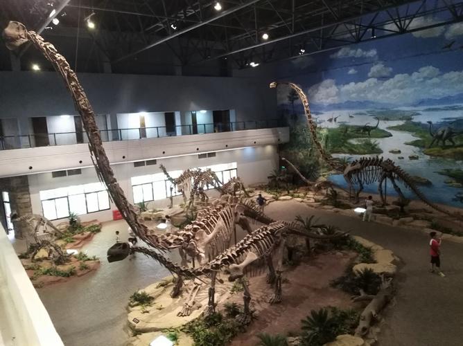 喜爱恐龙的孩子一定要去的地方-自贡恐龙博物馆