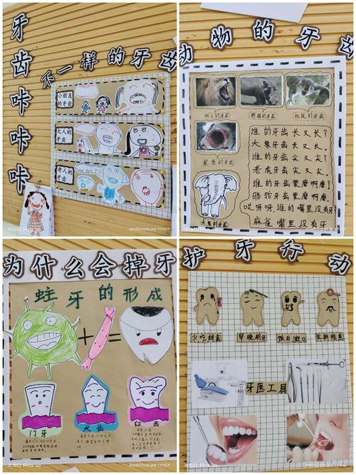 大三班9月主题教学活动《牙齿咔咔咔》