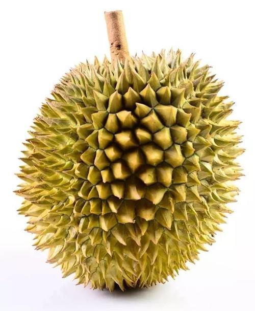 不同接下来跟着小金来了解一下我们常见的几种榴莲吧1,猫山王果肉颜色