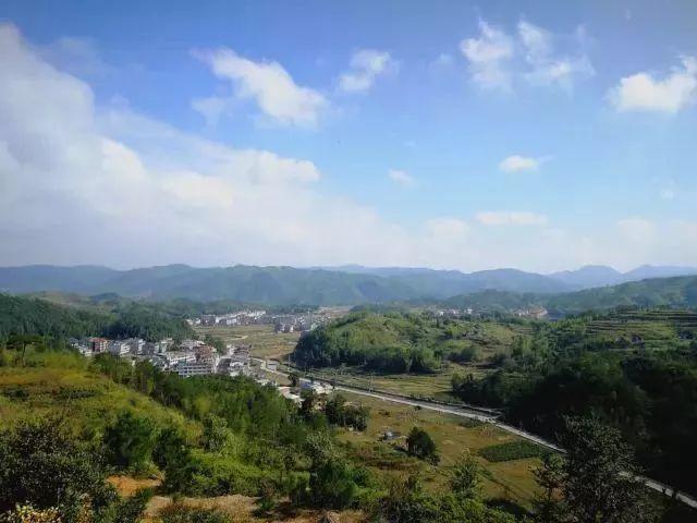 泰顺大安乡如今大变样!你还认识吗?
