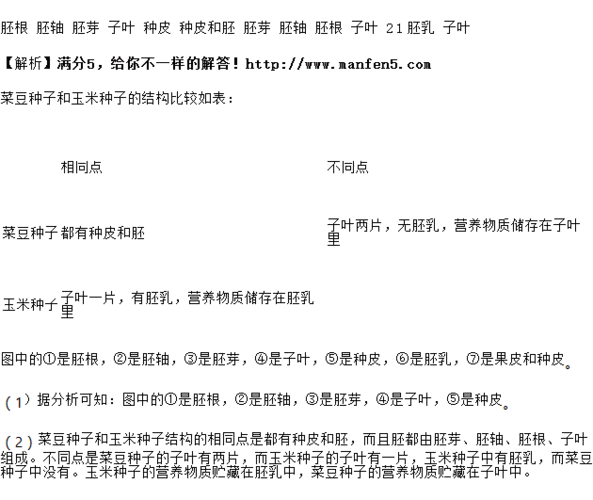 考点分析: 相关试题推荐 双子叶植物的叶脉一般是