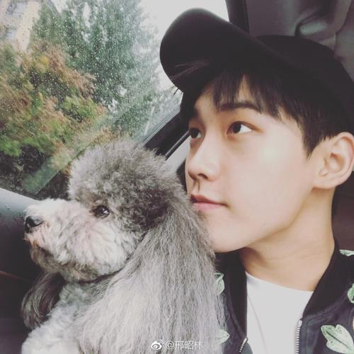 2018年11月21日 15:55   关注  邢昭林 明星 男 头像 壁纸 评论 收藏