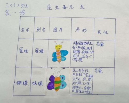 【昆虫备忘录】优秀作品集—— 红花岗区第二小学三3班