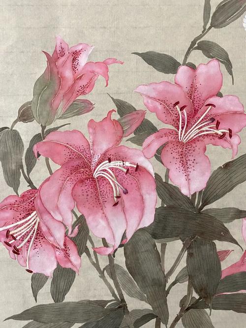 没骨百合花_百合花_国画_没骨画_兴趣爱好_绘画