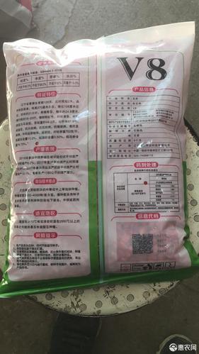 玉米种子 矮宝v8