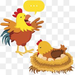 卡通手绘插画装饰公鸡母鸡鸡蛋孵蛋