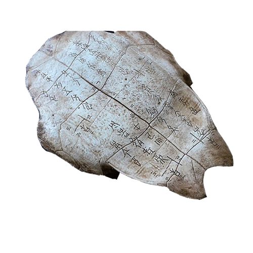 甲骨文龟壳化石装饰壁挂 摆件壁饰教学道具标本 儿童道具科教道具