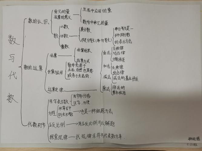 63班《数与代数》优秀思维导图