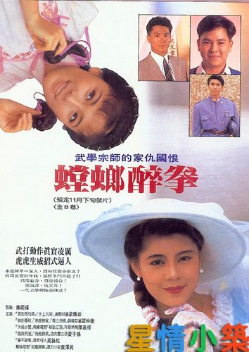 港台电视剧海报 (星情小筑 )
