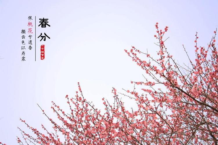 【传统文化二十四节气】春分