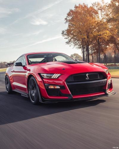 福特野马shelby gt500
