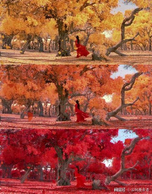 张艺谋《英雄》| 一部用色彩讲故事的电影