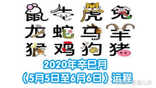 十二生肖2020年辛巳月运程