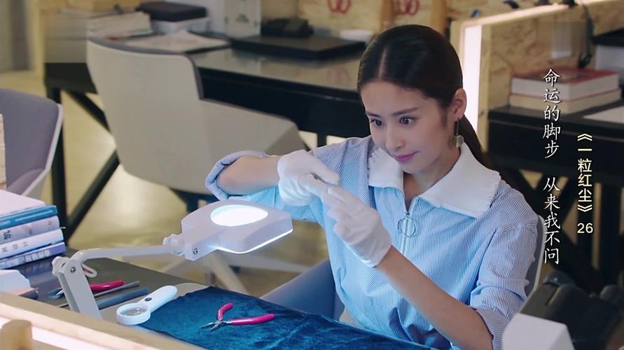 一粒红尘叶昭觉剧照