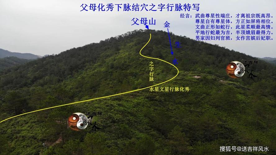 原创深藏不露的回龙顾祖名穴--泷洲邓氏始祖穴龙蛇下山