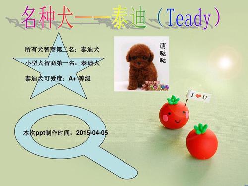 狗狗ppt