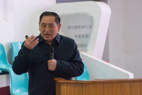 华中农业大学教授陈焕春讲述当前猪病的流行现状与防控措施 丁文杰