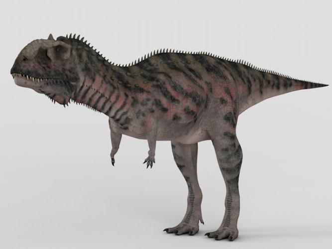 白垩纪末恐龙:玛君龙(majungasaurus)c4d模型