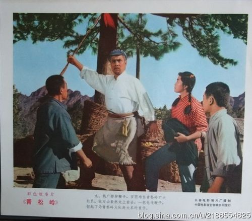 农村电影《青松岭》