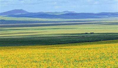 额仑草原的秋惊艳了一季