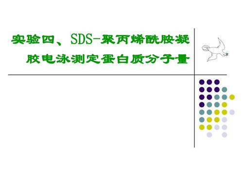 实验四,sds-聚丙烯酰胺凝胶电泳测定蛋白质分子量ppt