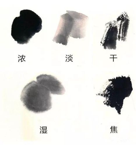 图文教程:小写意花鸟基础教程之禽鸟画法