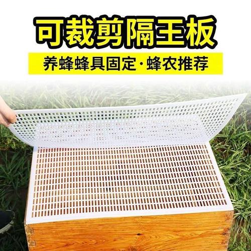 蜂蜂王塑料裁剪隔蜜蜂蜂收笼中分器蜂自动逃任意工具蜂蜜蜂平面防