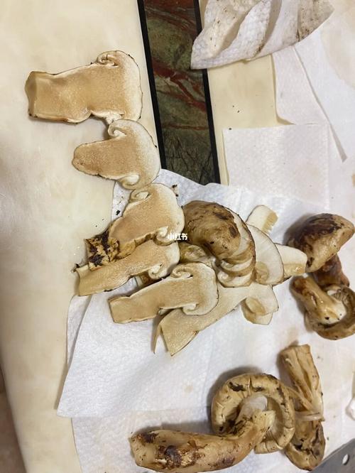 请问一下大家,我这些松茸是坏掉了吗_松茸_美食_美食展示_食材展示