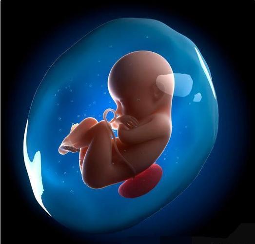 胎宝成长发育有"黄金期",孕妈做好准备工作,宝宝将来更聪明