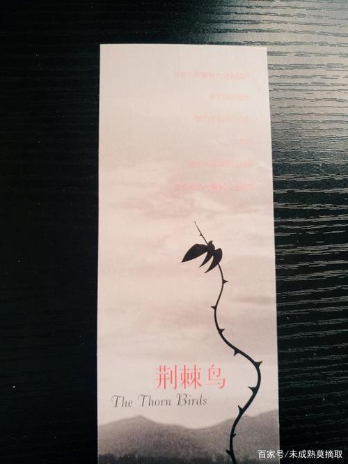 《荆棘鸟》之菲奥娜:被命运捉弄的贵妇人