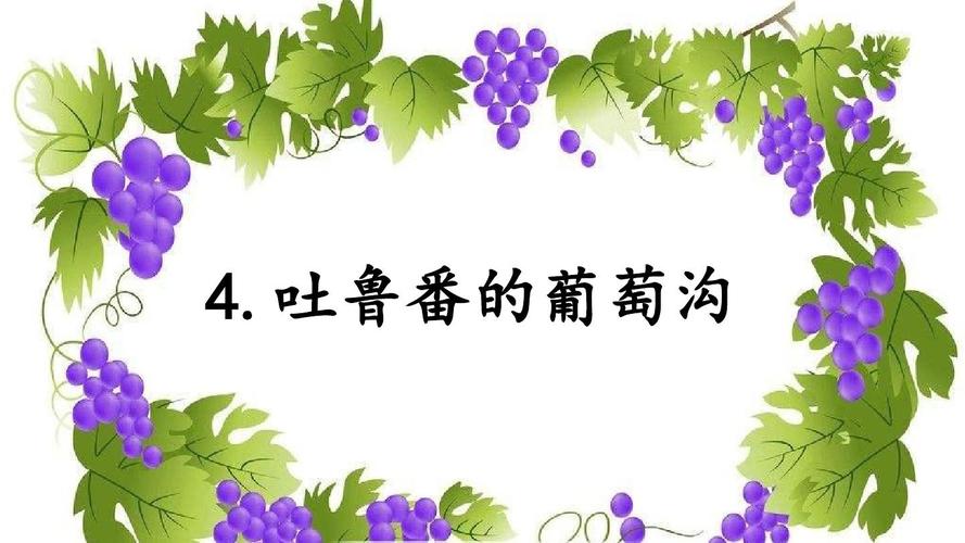 西师版《吐鲁番的葡萄沟》课件ppt