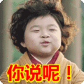 搞笑:你说呢!表情包