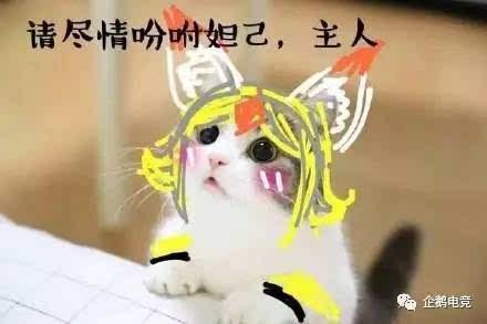 王者荣耀猫咪超可爱表情包: 请尽情吩咐妲己主人