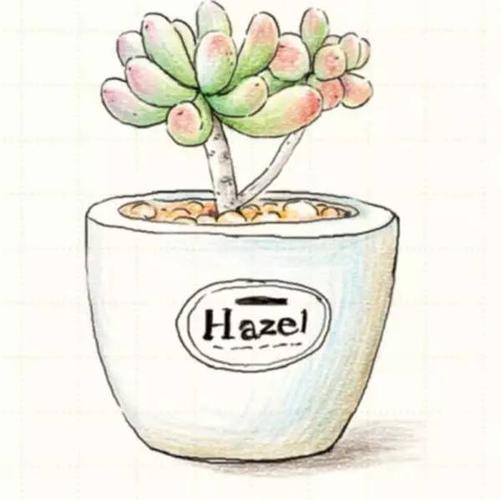 快来学习一下逼真多肉植物盆栽彩铅画怎么画吧!