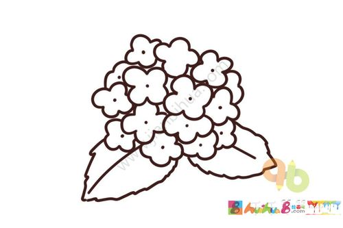 绣球花简笔画怎么画
