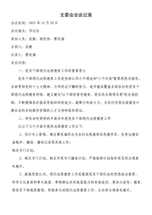 2021支委会会议记录-支委会会议纪要-审议.doc