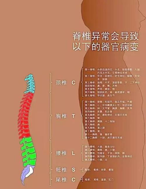 01,颈椎不好导致的疾病