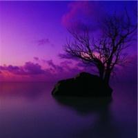 微信头像图片大全 微信成熟稳重头像