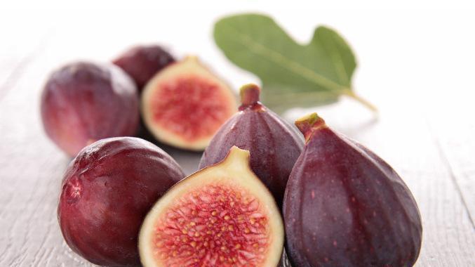 果树苗木 优质无花果苗采购 玛斯义陶芬无花果苗哪里买的便宜