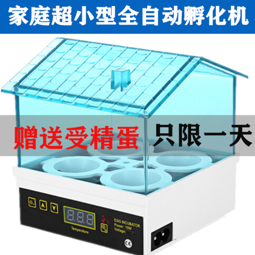 小鸡鹅鹦鹉蛋可孵化箱孵蛋孵化器小型家用型水床孵化机全自动智能