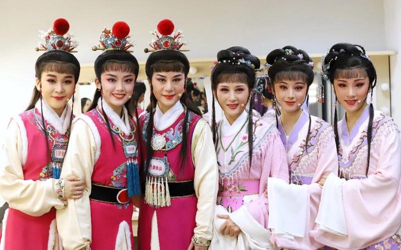 【钱惠丽】【单仰萍】越剧《红楼梦·天上掉下个林妹妹》&颜巧娜